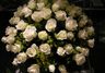 Bouquet que de roses blanches