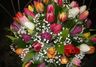 bouquet tulipes 